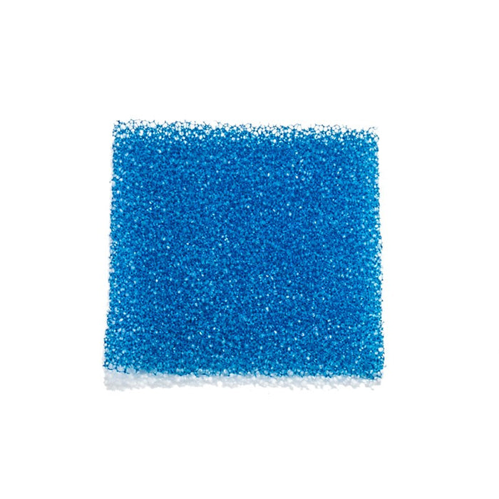 Biopsy Sponge