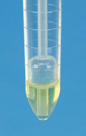 Fisher Scientific Fisherbrand Urinalysis Tube Conical Bottom Plain 15 mL Without Color Coding Snap Cap Polystyrene Tube - 14375249