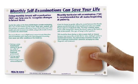 Nasco - Nonsexual Breast and Testicular Self Examination - SB34569