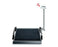 seca 664 - Wheelchair Scale Digital with Ramps For Wheelchair - 6641321103