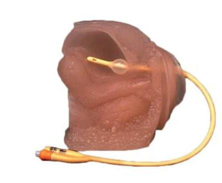 Anatomical Chart Company Catheter Training Model Female Plastic - A26108