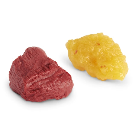 Life/Form - Fat and Muscle Replicas on Base Life/form 1 lbs. Vinyl Plastic - WA14562