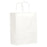 Saalfeld Redistribution BAG, SHOPPING W/HNDL 10X5X13 WHT (250/CS) - 84641