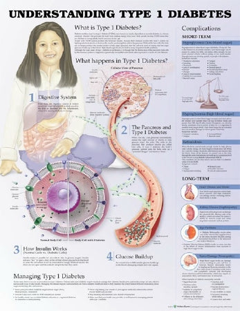 Anatomical Chart Company Anatomical Chart Type 1 Diabetes 3rd Edition 20 X 26 Inch Heavy Paper Grommets Laminated - 9781469894935