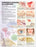Anatomical Chart Company Anatomical Chart Allergies 20 X 26 Inch Heavy Paper Grommets Laminated - 9781587799402