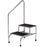 Clinton Industries Step Stool 2-Step Chrome Plated Steel 17.25 Inch - T-6850