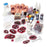 Nasco Company Simulation Kit Makeup Advanced Military Casualty Advanced Military Casualty Each - 800-819