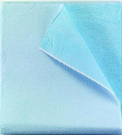 Tidi Everyday - Stretcher Sheet Flat Sheet 40 X 72 Inch Blue Tissue / Polyethylene Film Disposable - 980925