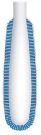 BD Specimen Collection Swab Sterile - 220251