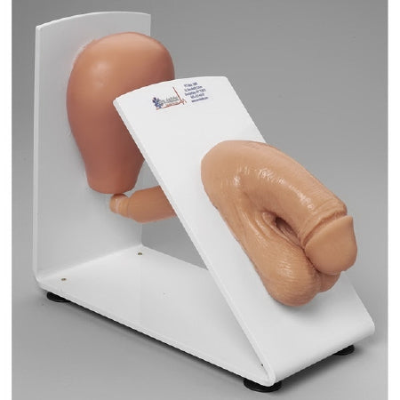 Simulaids - Male Catheterization Training Model Male 3 lbs. - 160-1931