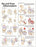 Anatomical Chart Company Anatomical Chart Hip and Knee 20 X 26 Inch Heavy Paper Grommets Laminated - 9780781773478