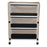 Echo Series - Economy Cart 20 X 36 X 51 Inch 20 X 32 Inch Shelf Size - Mjm International - E332-3C