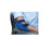Skil-Care - Elbow Protection Pad One Size Fits Most Blue - 503230