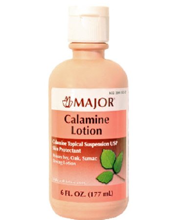 Major Pharmaceuticals Major Calamine Itch Relief 8% Strength Lotion 177 mL Bottle - 904253321