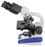 United Products & Instruments M280 Series Basic Laboratory Microscope Binocular 4X / 10X / 40X / 100X (Oil) Mechanical Stage - 280