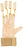 Patterson Medical Supply Rolyan Deluxe Traction Exercise Glove Small / Medium 2.5 to 3.5 Inch - 50350102