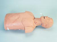 Simulaids - Airway Management Torso Manikin - 101-086