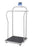 Doran Scales Handrail Scale Digital Display 800 lbs. Black / Gray AC Adapter / Battery Operated - DS7060