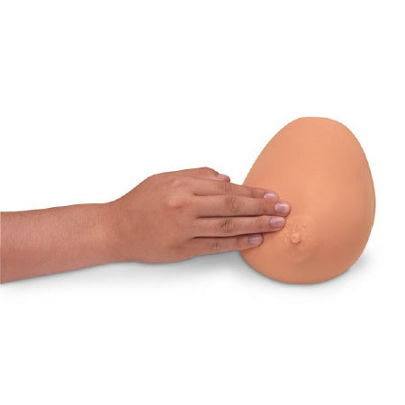 Nasco Simulaids BSE Trainer Female 1-1/4 lbs. - 160-1040