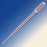 Globe Scientific Transfer Pipette 5 mL NonSterile - 137030