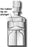 AirTite Products Norm-Ject General Purpose Syringe 30 mL Individual Pack Luer Lock Tip Without Safety - AL30