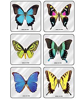 MiniBadges - 75 per Unit Foil Butterflies Sticker - 2685