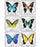 MiniBadges - 75 per Unit Foil Butterflies Sticker - 2685