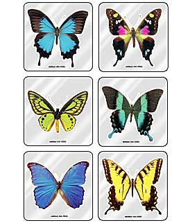 Medibadge Minibadges 75 Per Unit Foil Butterflies Sticker - 2685