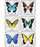 Medibadge Minibadges 75 Per Unit Foil Butterflies Sticker - 2685