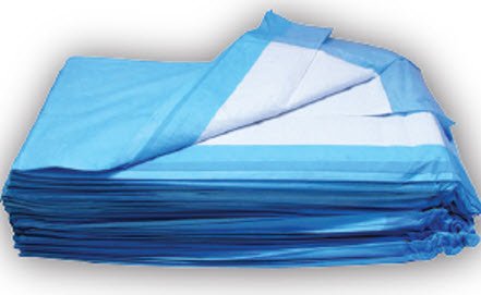 Dukal - Underpad DUKAL 23 X 24 Inch Disposable Cellulose Light Absorbency - 12424