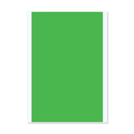 PDC Healthcare Blank Label Multipurpose Label Without Legend Green 7/8 X 1 Inch - PC6-PLA-G