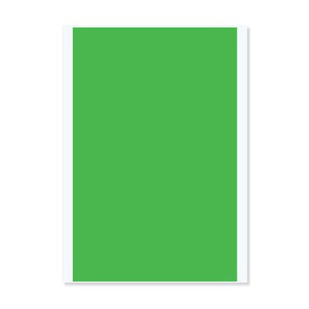 PDC Healthcare - Blank Label Multipurpose Label Green 7/8 X 1 Inch - PC6-PLA-G