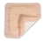 Dukal Advazorb Border Lite Silicone Foam Dressing 5 X 5 Inch Square Silicone Adhesive with Border Sterile - CR4199