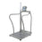 Health O Meter - Floor Scale with Handrail LCD Digital Display 1000 lbs. / 454 kg Capacity Black / Gray AC Adapter / Battery Operated - 2101KLHR