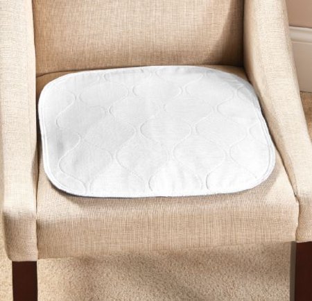Salk Inc CareFor Economy Underpad 18 X 18 Inch Reusable Moderate Absorbency - 1986