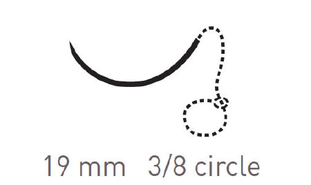 Quill Variable Loop Device, Monoderm - Suture with Needle Absorbable Uncoated Undyed Suture Barbed Monofilament Polyglycolic Acid / PCL Size 2 - 0 30 cm Suture 1-Needle 19 mm Length 3/8 Circle Reverse Cutting Needle - VLM-2001