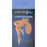 Loving Comfort - Compression Pantyhose Waist High Petite Beige Closed Toe - 1659 BEI PT