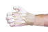 AliMed - Finger Therapy Glove Alimed Large / X-Large - 52102