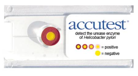 Jant Pharmacal Corporation Accutest Rapid Test Kit Urease Test H. Pylori Biopsy Sample CLIA Waived 50 Tests - ID750