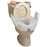 Lock-On - Raised Toilet Seat with Arms 11-1/2 Inch Height White 300 lbs. Weight Capacity - 725753111