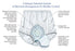 Salk Inc HealthDri Adult Absorbent Underwear Pull On Medium Reusable Moderate Absorbency - BM00