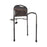 Mobility Bed Rail - Assist Bed Side Rail - Stander - 5850