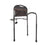 Mobility Bed Rail - Assist Bed Side Rail - 5850