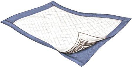 Passport - Underpad 22 X 35 Inch Disposable Fluff Light Absorbency - 3830