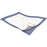 Passport - Underpad 22 X 35 Inch Disposable Polymer Moderate Absorbency - 3834