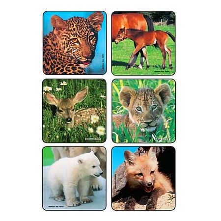 Kids Love Stickers - 90 per Unit Baby Animal Photos , Assorted Sticker - 2001P