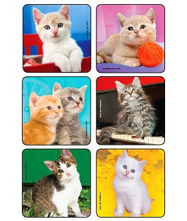 Medibadge Kids Love Stickers 90 Per Unit Cute Kitten Photos , Assorted Sticker - 2901P