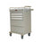 Harloff Value Line Medication Cart Stainless Steel 22.5 X 29.5 X 46.75 Inch Sand - VLT18BIN3