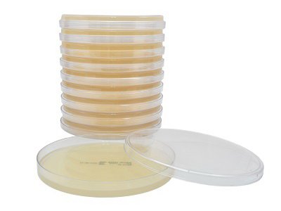 Hardy Diagnostics - Prepared Media Mueller Hinton Agar Dehydrated - H11