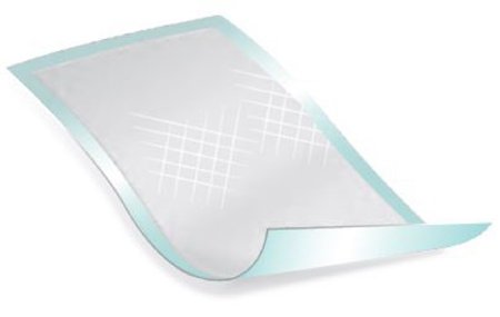 Deluxe - Underpad 23 X 24 Inch Disposable Polymer Heavy Absorbency - 1022